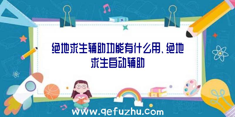 绝地求生辅助功能有什么用、绝地求生自动辅助