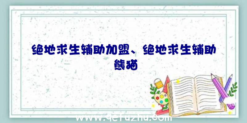 绝地求生辅助加盟、绝地求生辅助