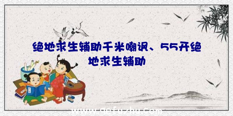 绝地求生辅助千米嘲讽、55开绝地求生辅助