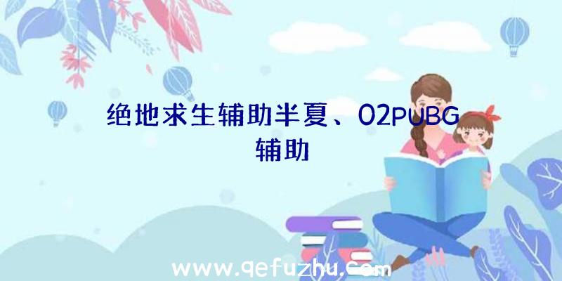 绝地求生辅助半夏、02PUBG辅助