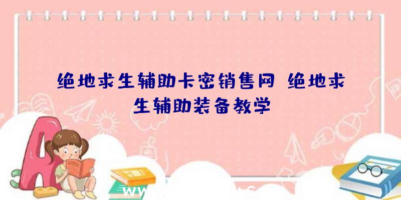 绝地求生辅助卡密销售网、绝地求生辅助装备教学