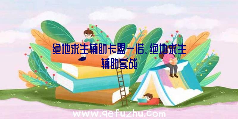 绝地求生辅助卡盟一诺、绝地求生辅助实战