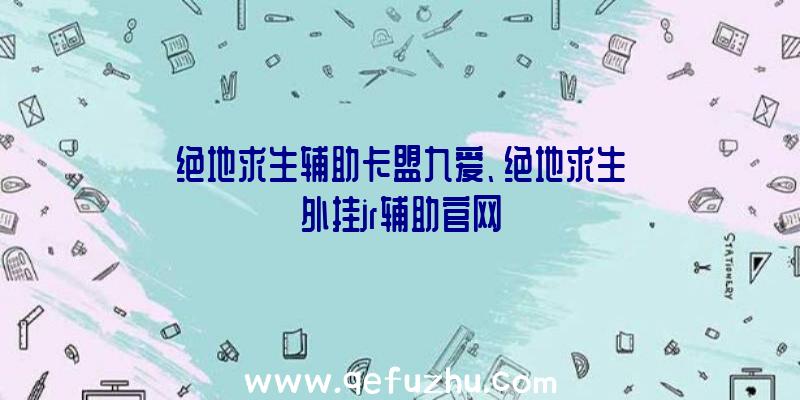 绝地求生辅助卡盟九爱、绝地求生外挂jr辅助官网