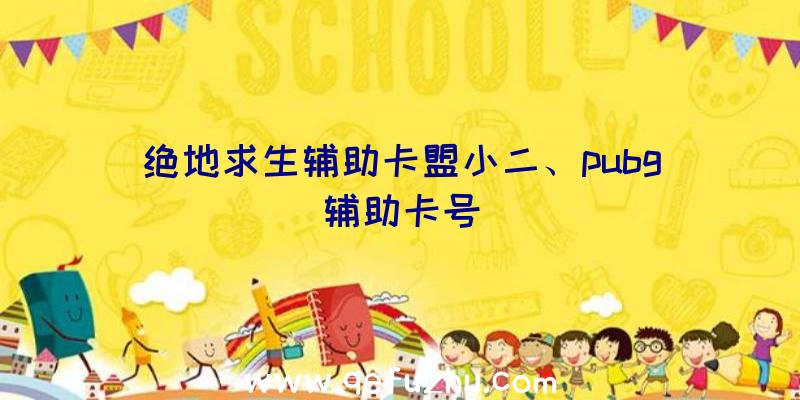 绝地求生辅助卡盟小二、pubg辅助卡号