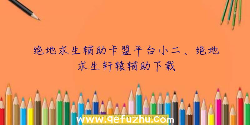 绝地求生辅助卡盟平台小二、绝地求生轩辕辅助下载