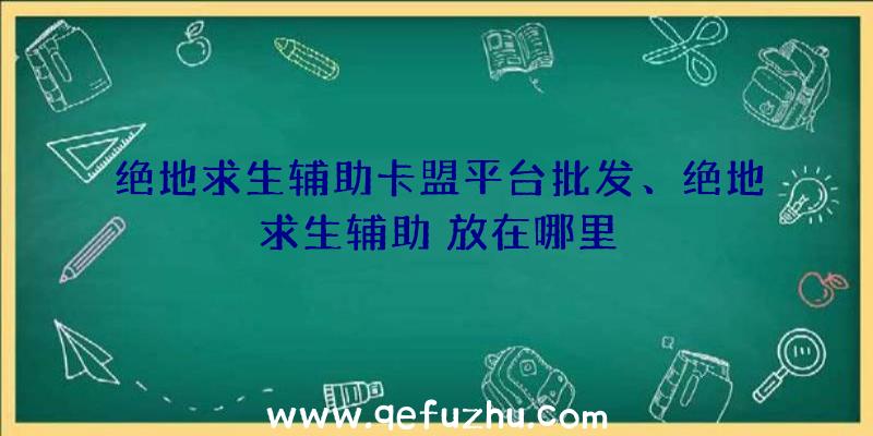 绝地求生辅助卡盟平台批发、绝地求生辅助