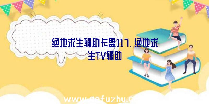 绝地求生辅助卡盟117、绝地求生TV辅助