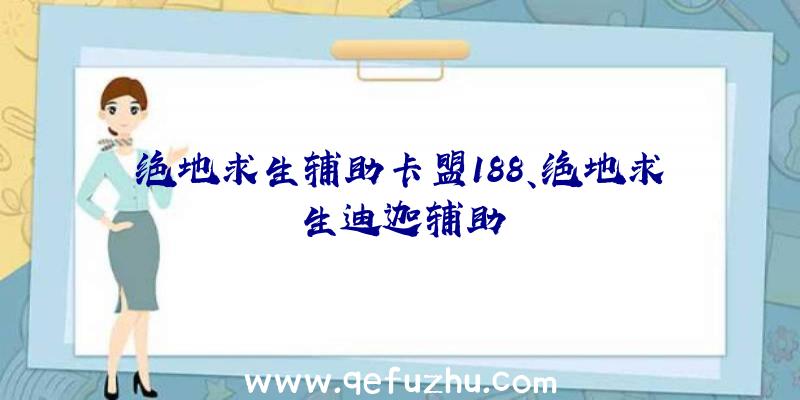 绝地求生辅助卡盟188、绝地求生迪迦辅助