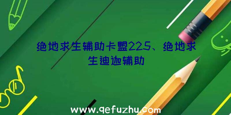 绝地求生辅助卡盟225、绝地求生迪迦辅助