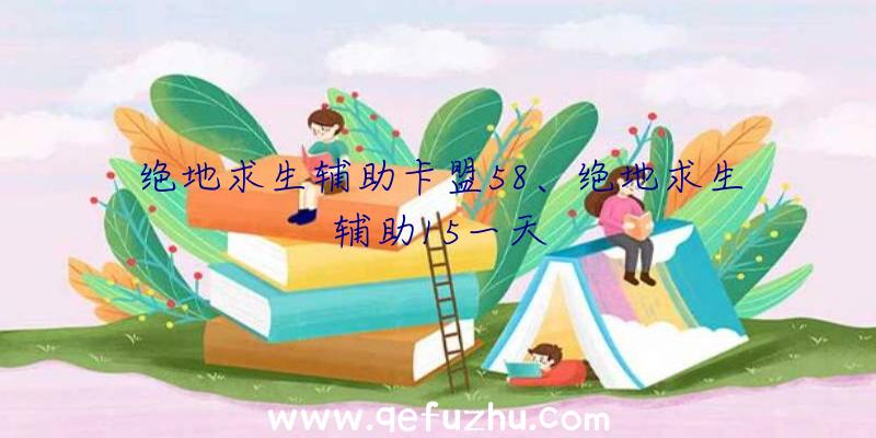 绝地求生辅助卡盟58、绝地求生辅助15一天