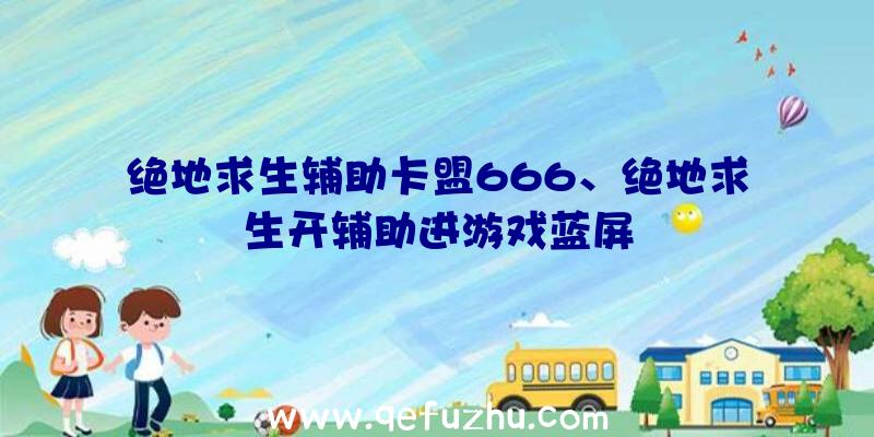 绝地求生辅助卡盟666、绝地求生开辅助进游戏蓝屏