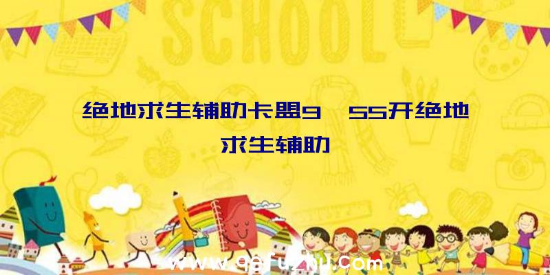 绝地求生辅助卡盟9、55开绝地求生辅助