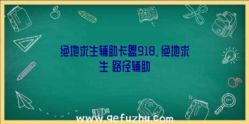 绝地求生辅助卡盟918、绝地求生