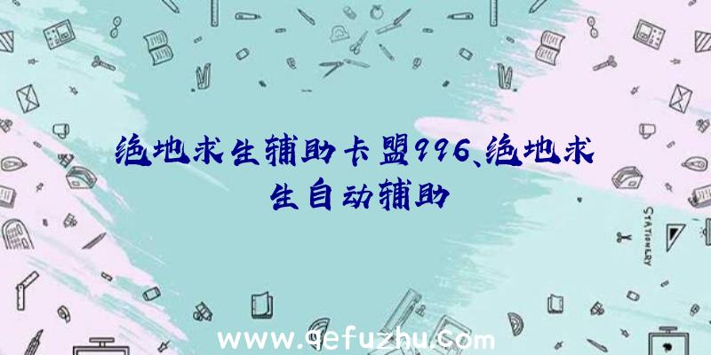 绝地求生辅助卡盟996、绝地求生自动辅助