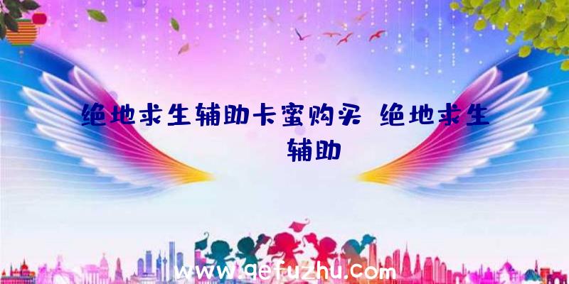 绝地求生辅助卡蜜购买、绝地求生boss辅助