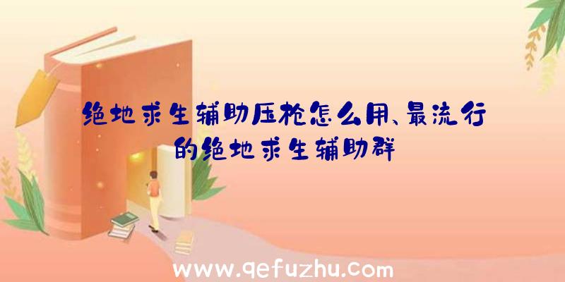 绝地求生辅助压枪怎么用、最流行的绝地求生辅助群