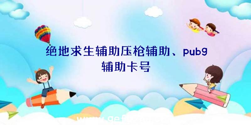 绝地求生辅助压枪辅助、pubg辅助卡号