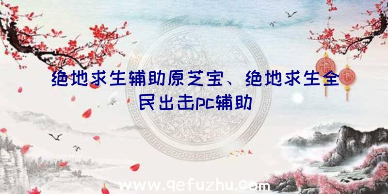 绝地求生辅助原芝宝、绝地求生全民出击pc辅助