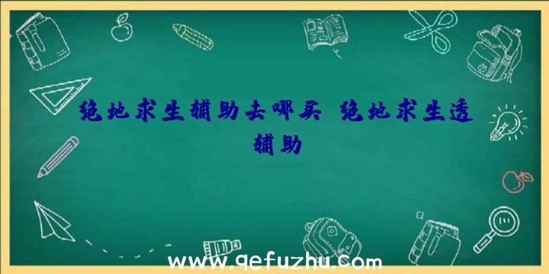 绝地求生辅助去哪买、绝地求生透辅助