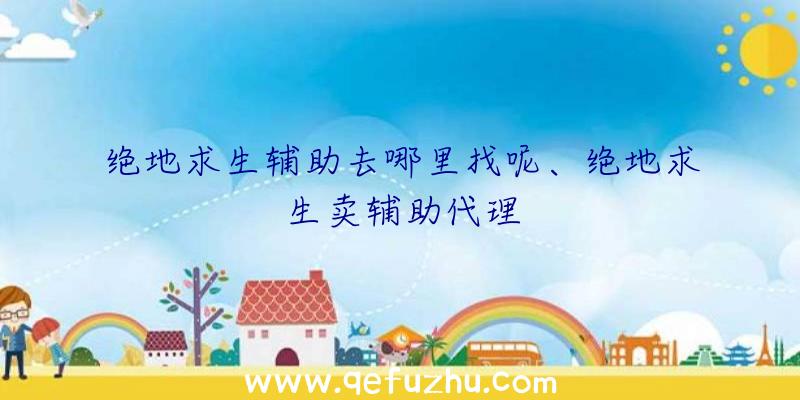 绝地求生辅助去哪里找呢、绝地求生卖辅助代理