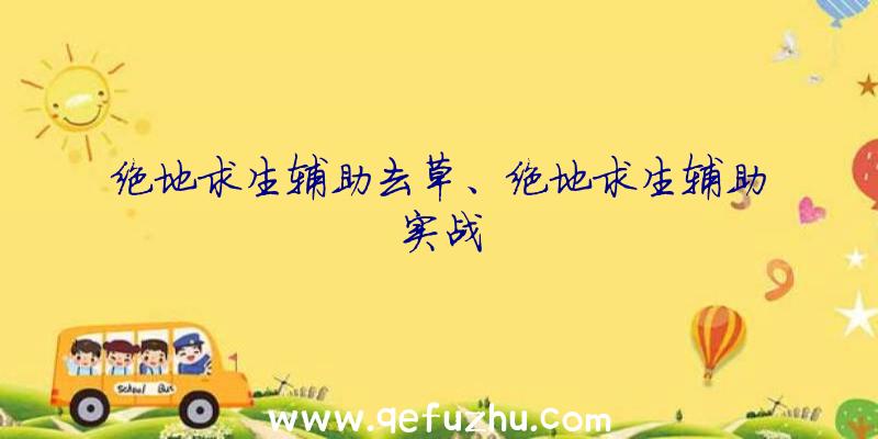 绝地求生辅助去草、绝地求生辅助实战