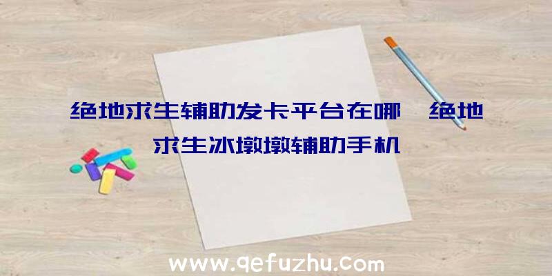 绝地求生辅助发卡平台在哪、绝地求生冰墩墩辅助手机