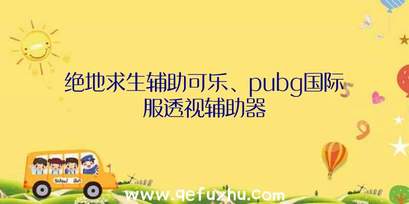 绝地求生辅助可乐、pubg国际服透视辅助器