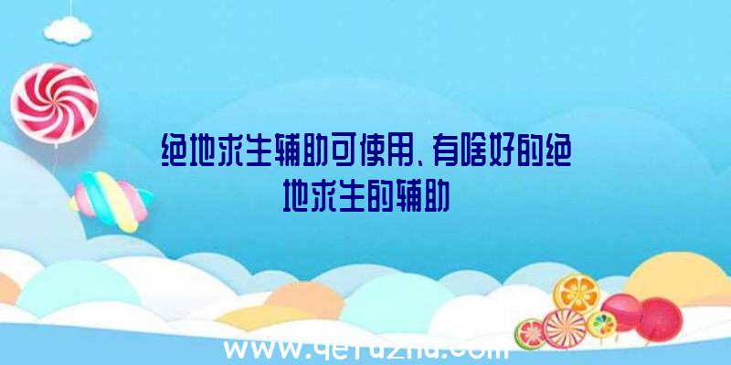 绝地求生辅助可使用、有啥好的绝地求生的辅助