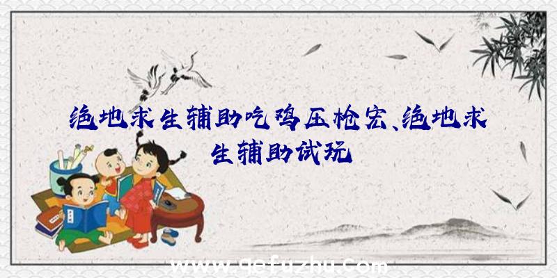 绝地求生辅助吃鸡压枪宏、绝地求生辅助试玩