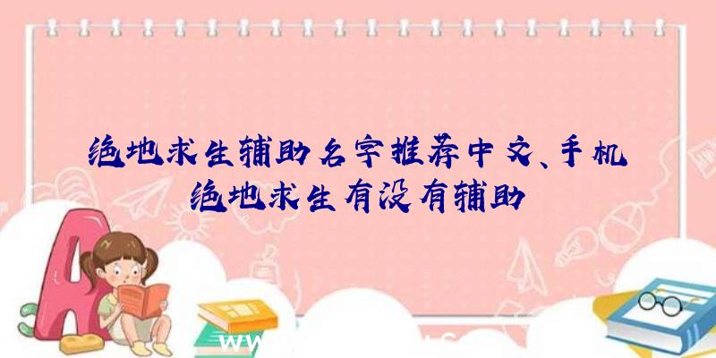 绝地求生辅助名字推荐中文、手机绝地求生有没有辅助