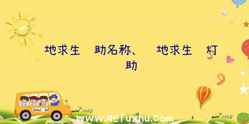 绝地求生辅助名称、绝地求生蓝灯辅助