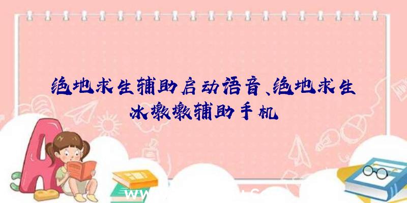 绝地求生辅助启动语音、绝地求生冰墩墩辅助手机