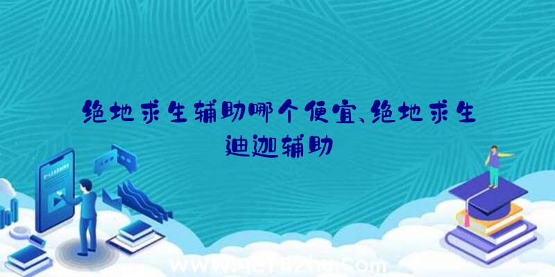 绝地求生辅助哪个便宜、绝地求生迪迦辅助