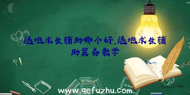 绝地求生辅助哪个好、绝地求生辅助装备教学