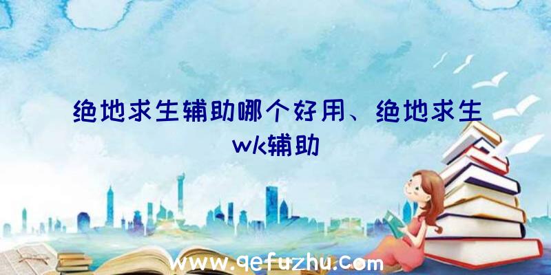 绝地求生辅助哪个好用、绝地求生wk辅助