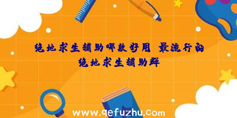 绝地求生辅助哪款好用、最流行的绝地求生辅助群