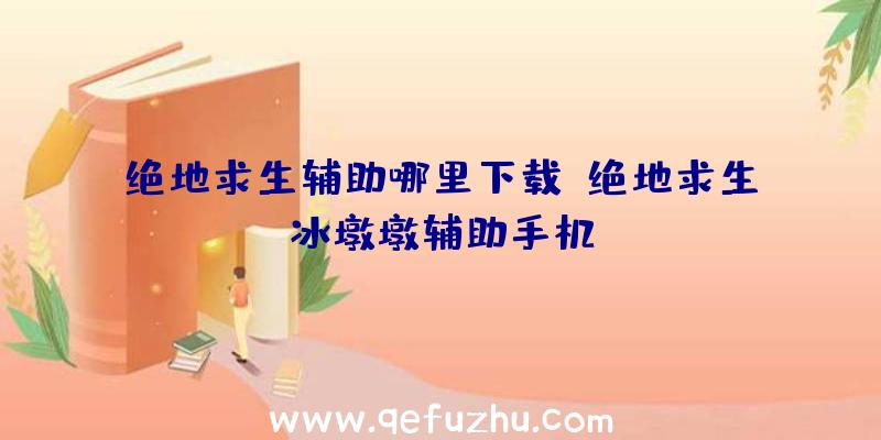 绝地求生辅助哪里下载、绝地求生冰墩墩辅助手机