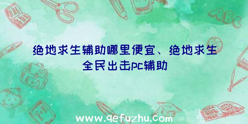 绝地求生辅助哪里便宜、绝地求生全民出击pc辅助