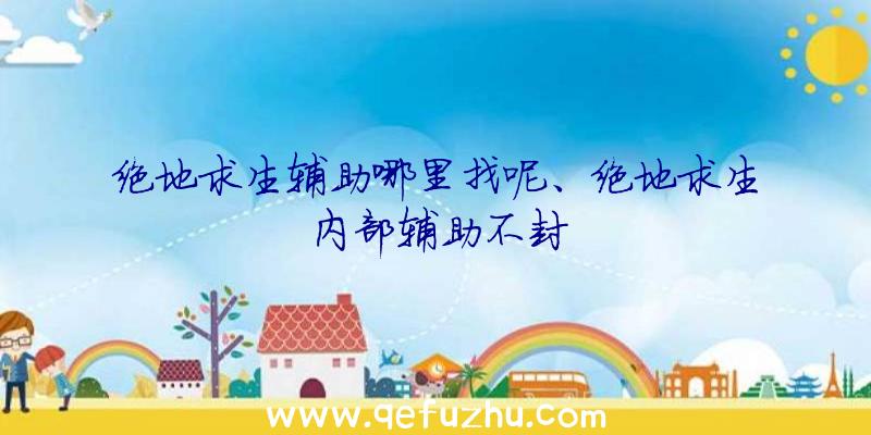 绝地求生辅助哪里找呢、绝地求生内部辅助不封