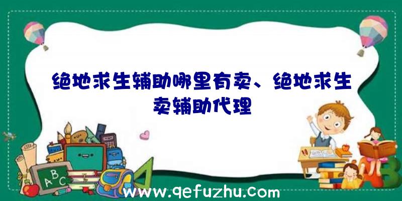 绝地求生辅助哪里有卖、绝地求生卖辅助代理