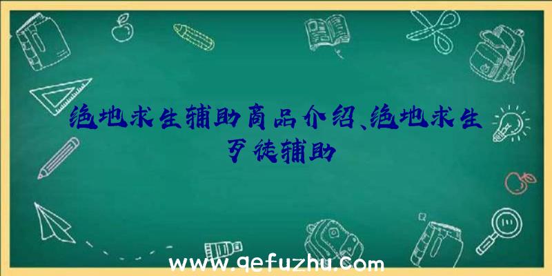 绝地求生辅助商品介绍、绝地求生歹徒辅助