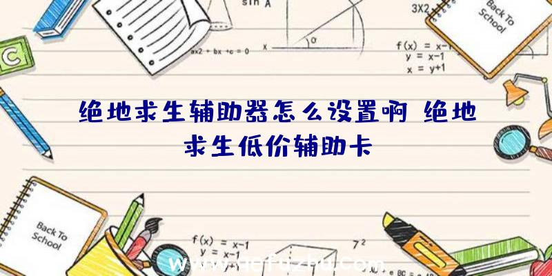 绝地求生辅助器怎么设置啊、绝地求生低价辅助卡