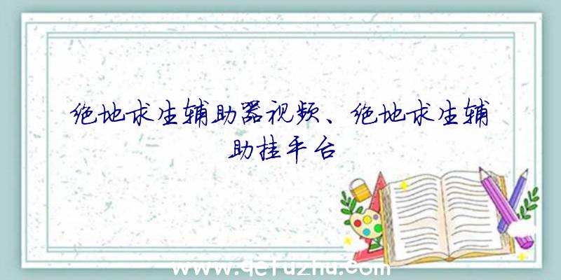 绝地求生辅助器视频、绝地求生辅助挂平台