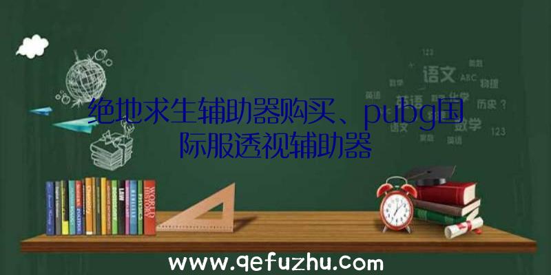 绝地求生辅助器购买、pubg国际服透视辅助器