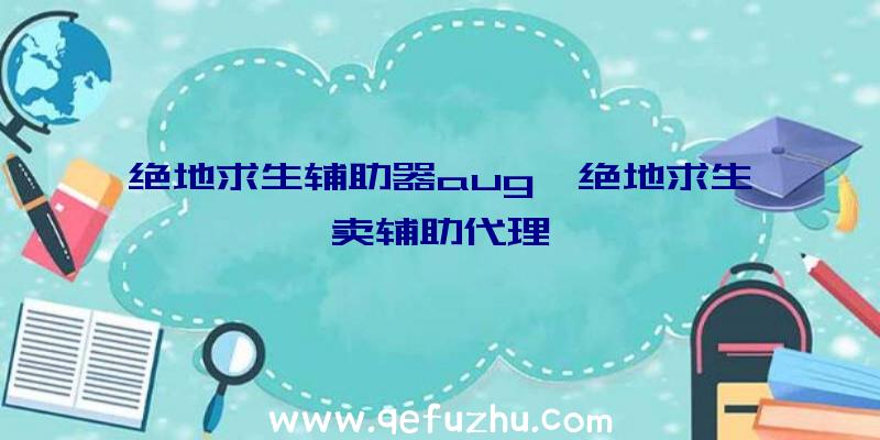 绝地求生辅助器aug、绝地求生卖辅助代理