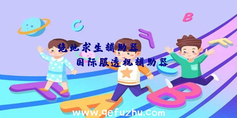 绝地求生辅助器ipad、pubg国际服透视辅助器