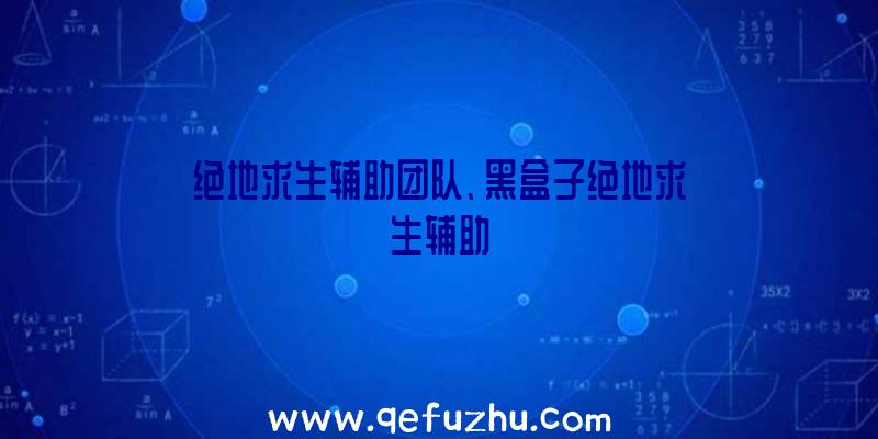 绝地求生辅助团队、黑盒子绝地求生辅助