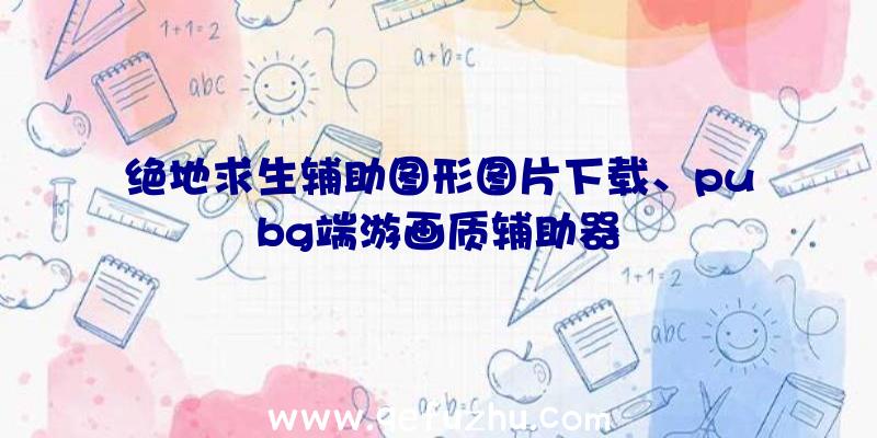 绝地求生辅助图形图片下载、pubg端游画质辅助器