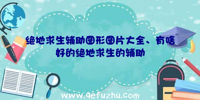 绝地求生辅助图形图片大全、有啥好的绝地求生的辅助