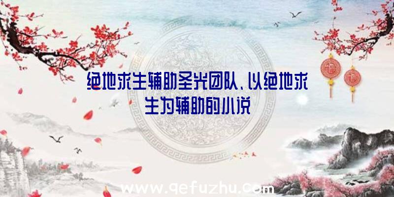 绝地求生辅助圣光团队、以绝地求生为辅助的小说